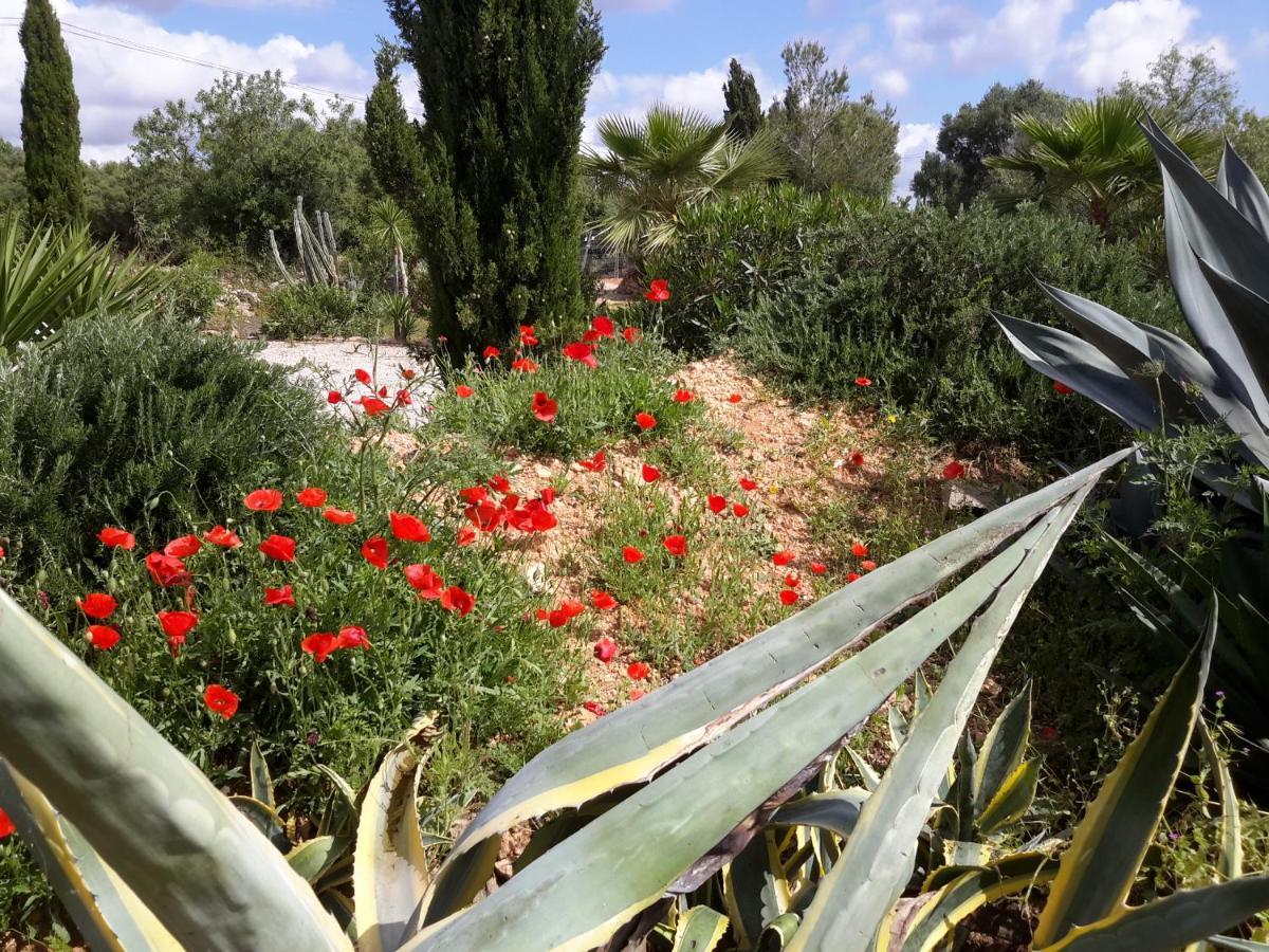 Finca Alqueria Fosca Campos  Zewnętrze zdjęcie