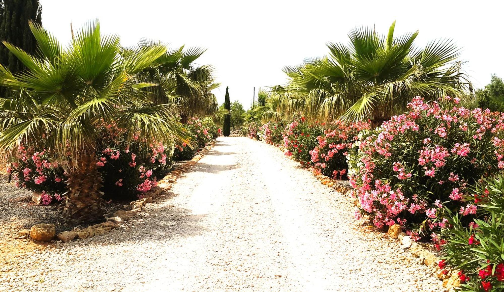 Finca Alqueria Fosca Campos  Zewnętrze zdjęcie